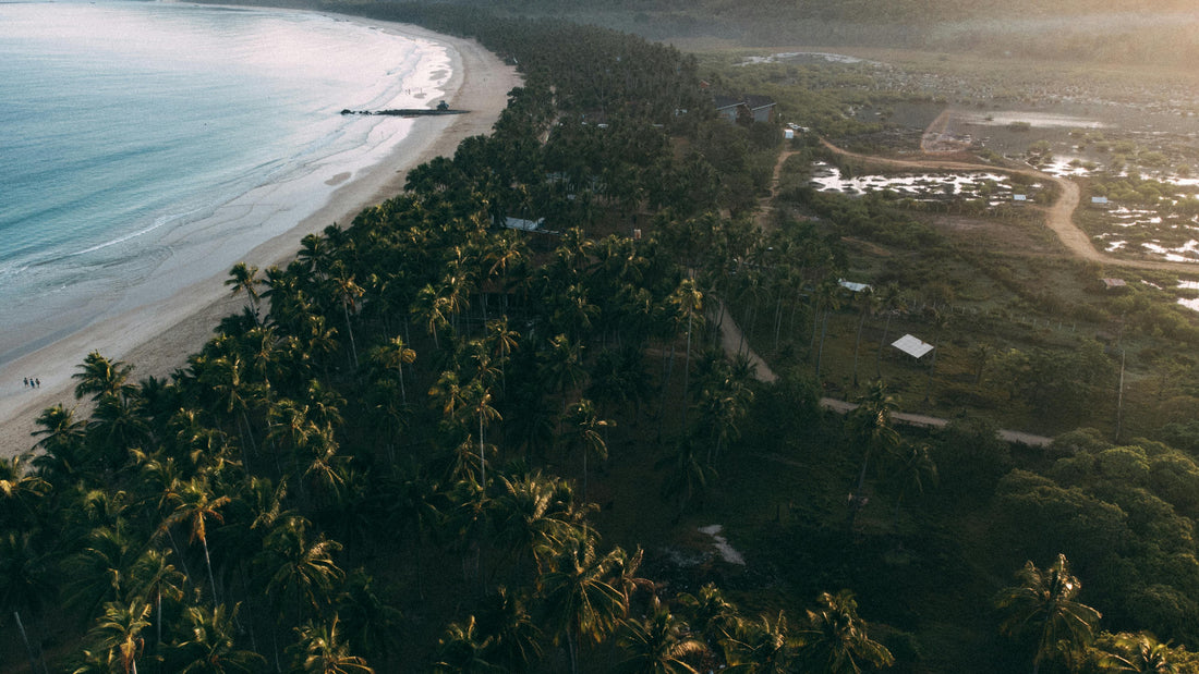How Do I Get from Puerto Vallarta Airport to Vidanta Nuevo Vallarta?