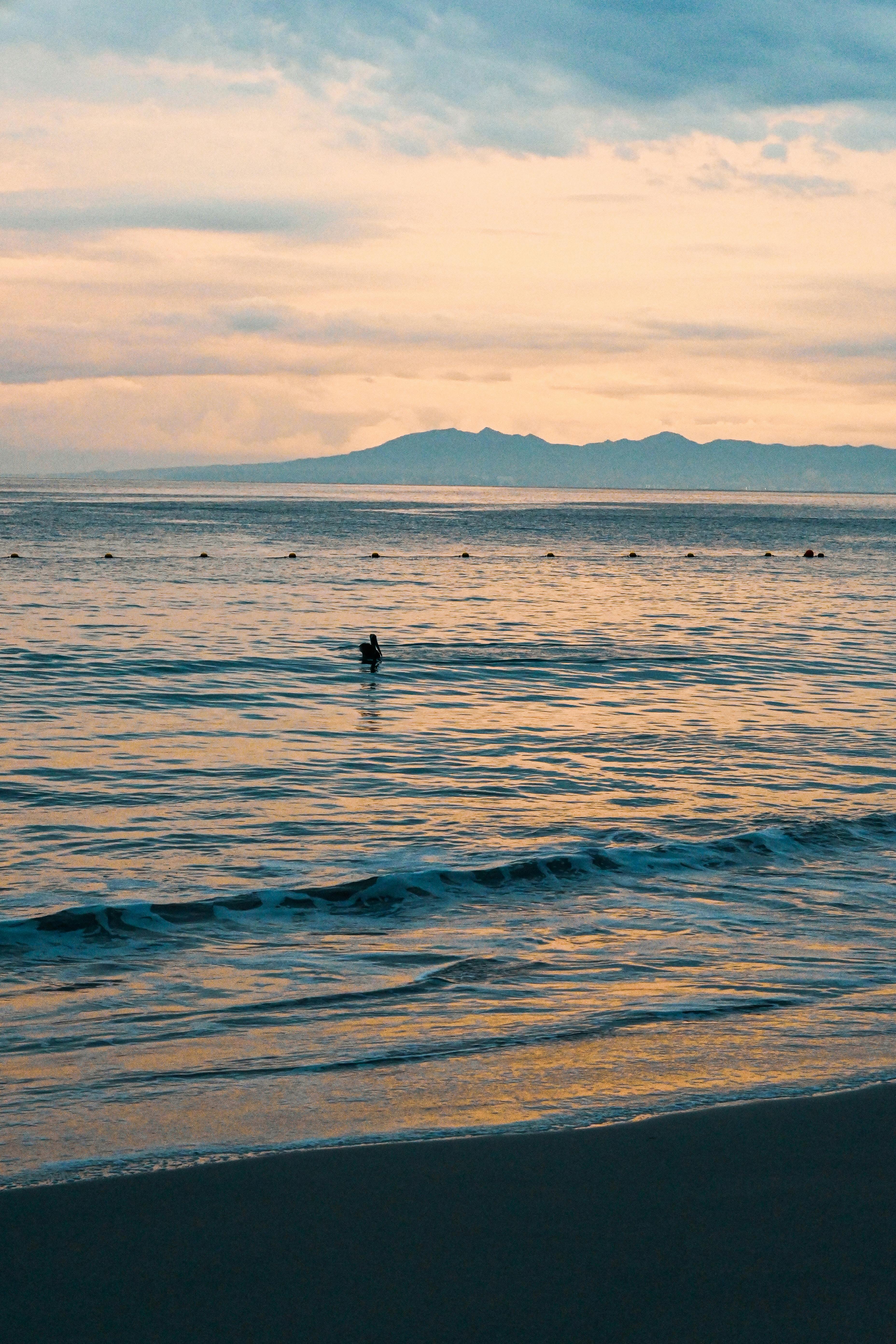 How Do I Get from Puerto Vallarta Airport to Secrets Vallarta Bay?