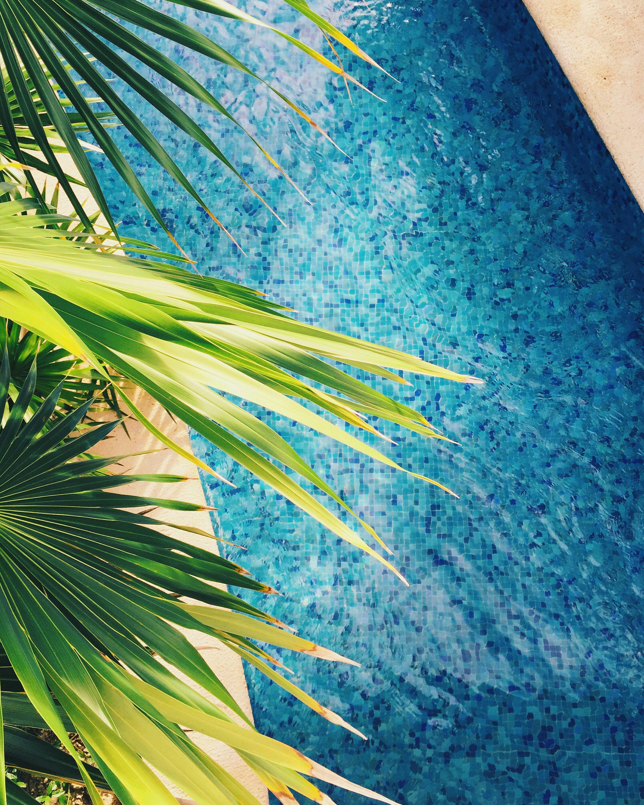 How Do I Get from Puerto Vallarta Airport to an All-Inclusive Resort? Traveling to All-Inclusive Resorts