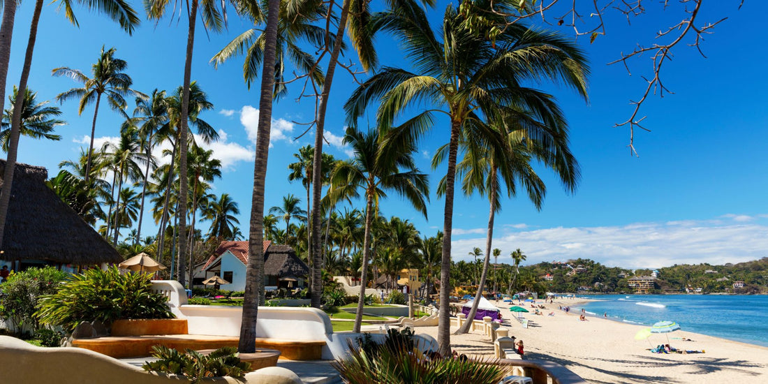 The Best Restaurants to Visit and Savor Exquisite Dishes in Sayulita