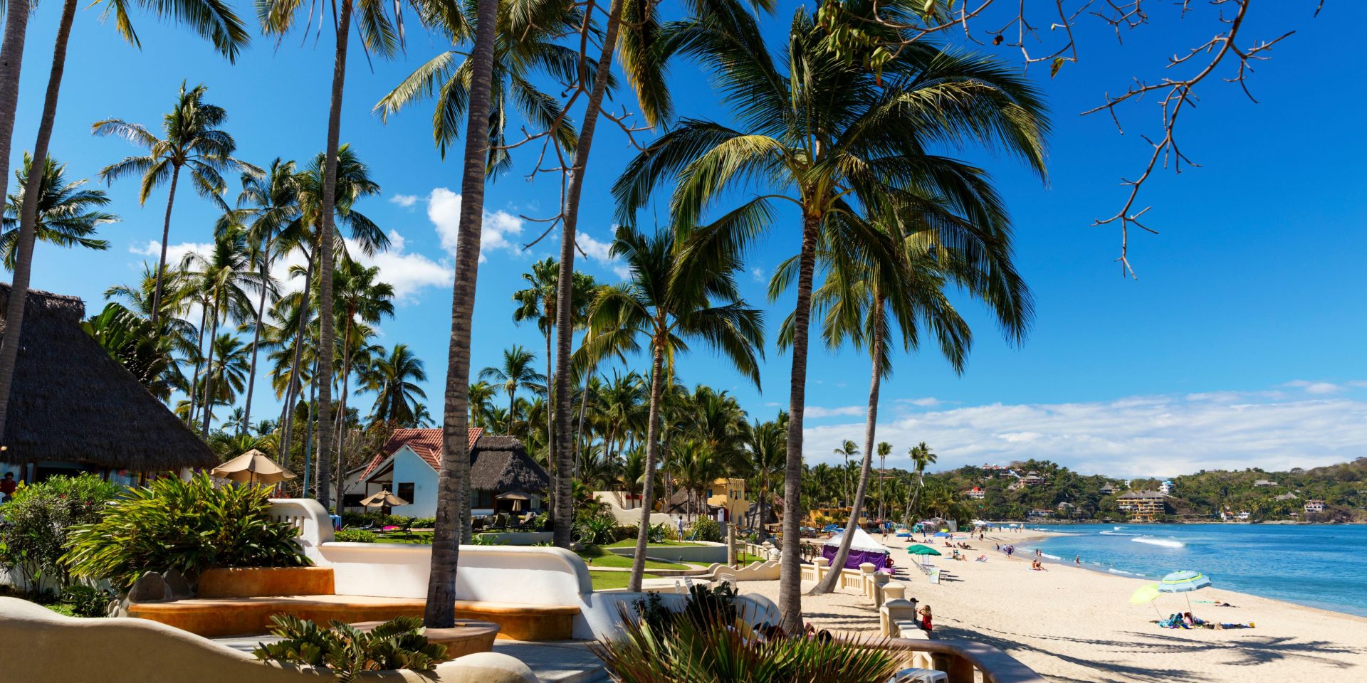 The Best Restaurants to Visit and Savor Exquisite Dishes in Sayulita